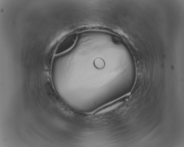 X0000077371255200611031902