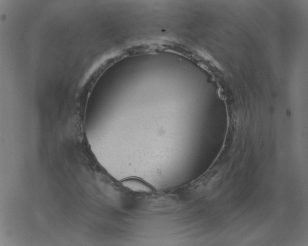 X0000077371256200611031902