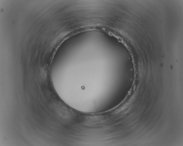 X0000077371257200611031902