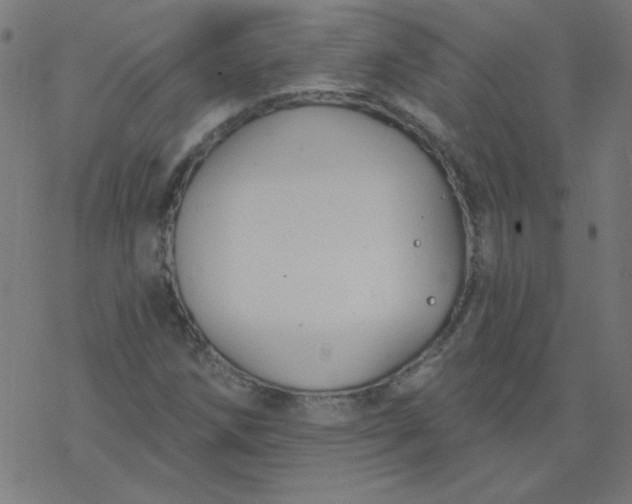 X0000077371258200611031902