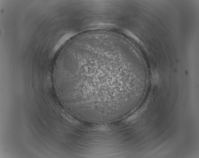 X0000077371259200611031902