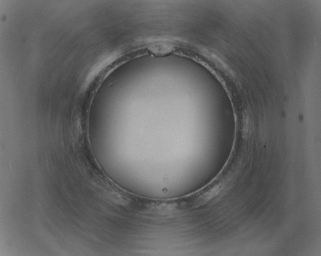 X0000077371261200611031902