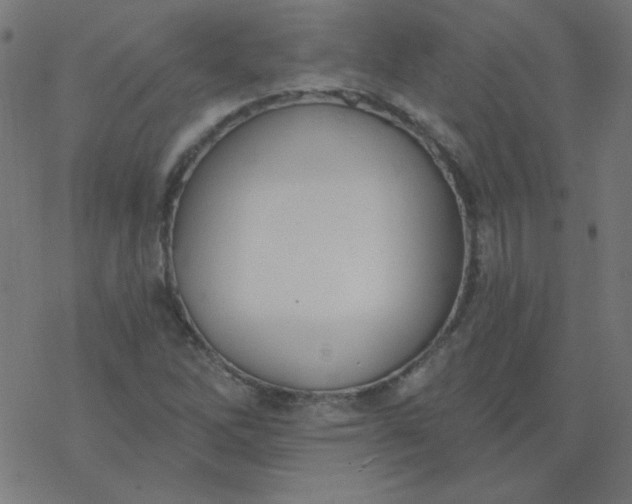 X0000077371262200611031902