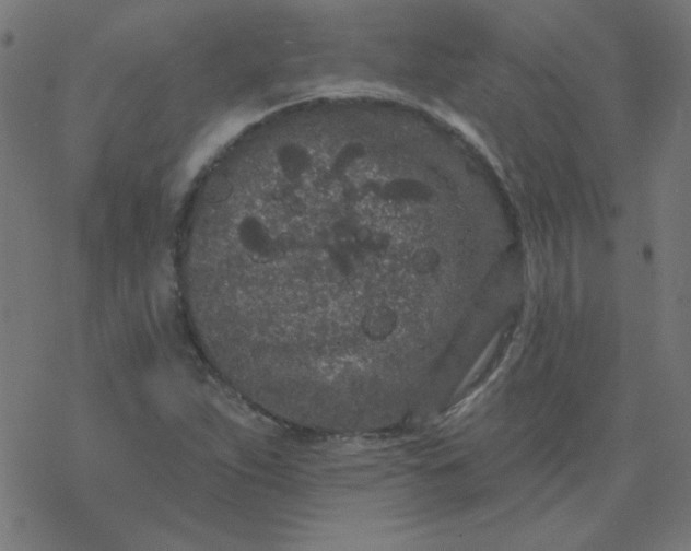 X0000077371263200611031902