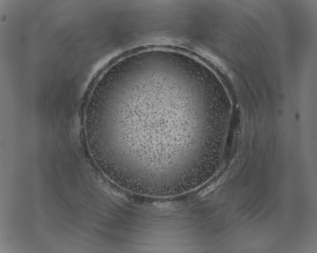 X0000077371264200611031902