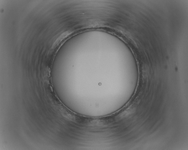 X0000077371265200611031902