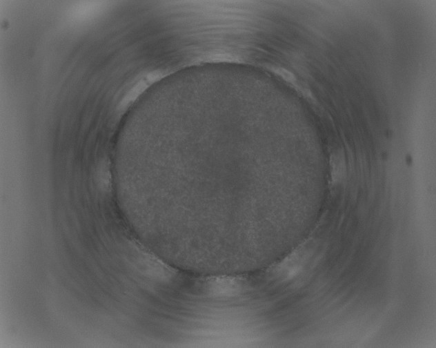 X0000077371266200611031902