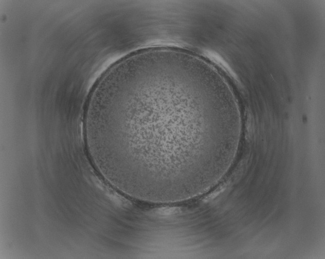 X0000077371268200611031902