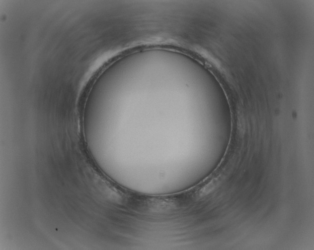 X0000077371270200611031902