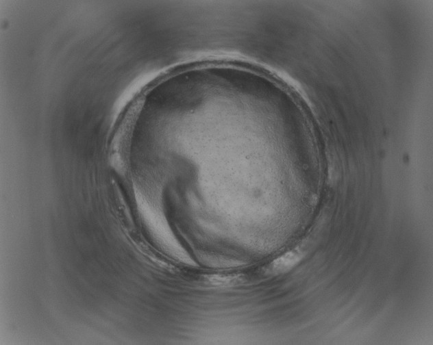 X0000077371271200611031902