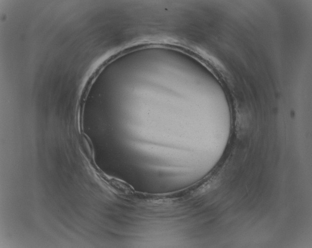 X0000077371272200611031902