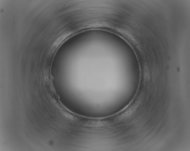 X0000077371273200611031902