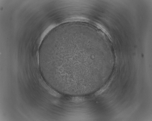 X0000077371275200611031902