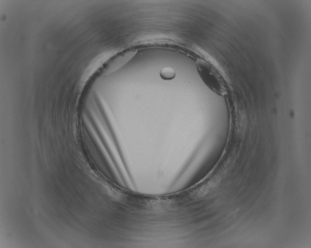 X0000077371277200611031902