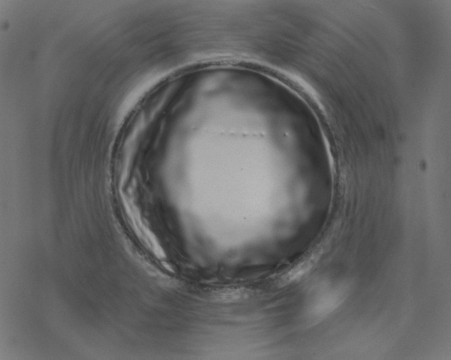 X0000077371279200611031902