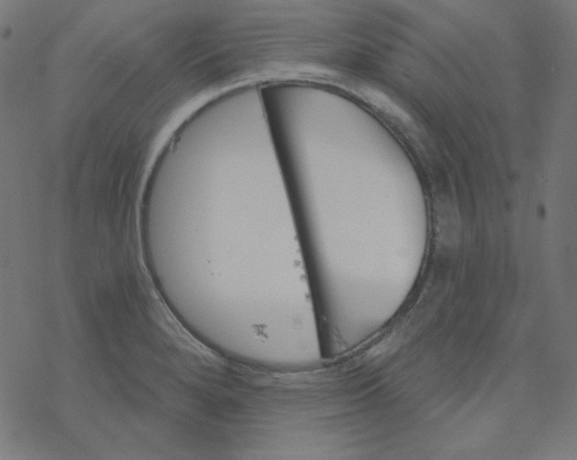 X0000077371280200611031902