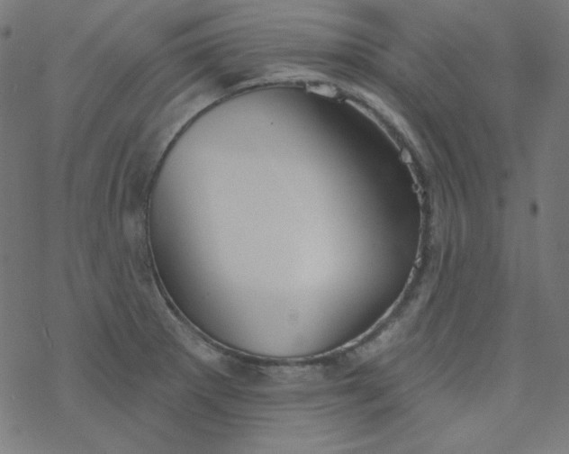 X0000077371281200611031902