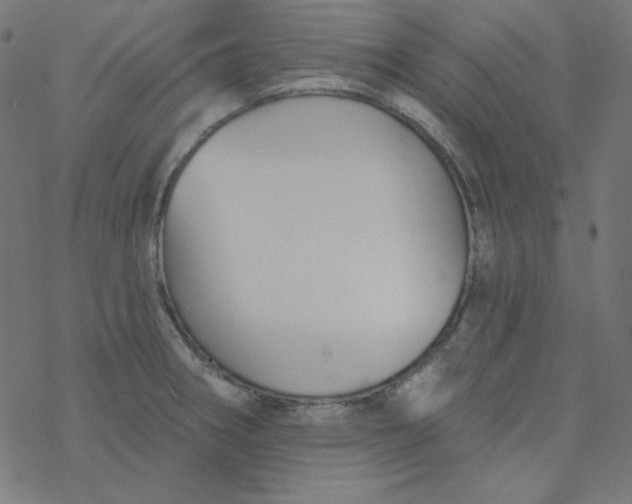 X0000077371282200611031902