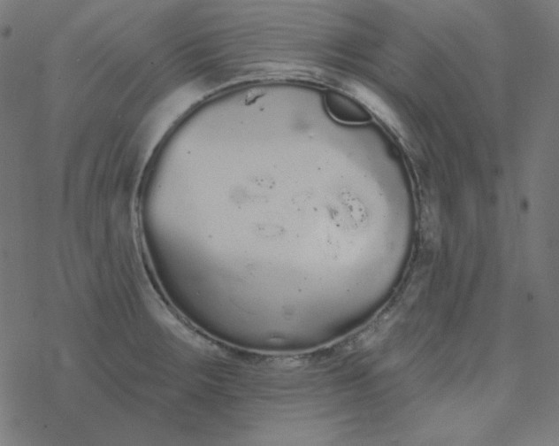 X0000077371283200611031902