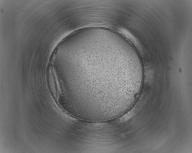 X0000077371284200611031902