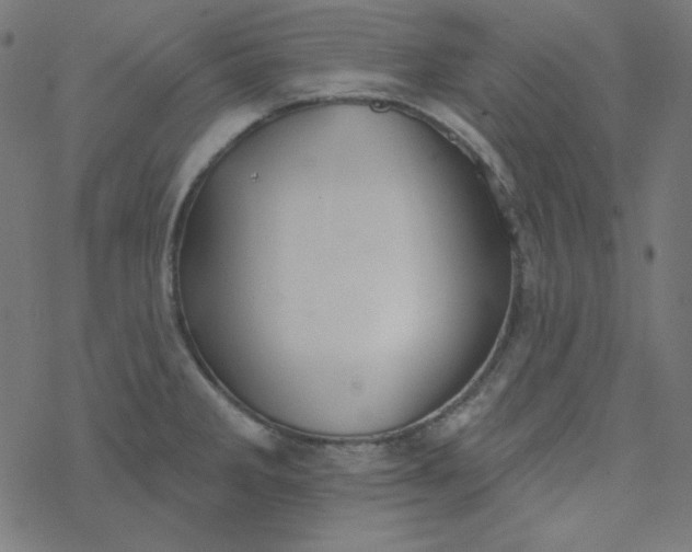 X0000077371285200611031902