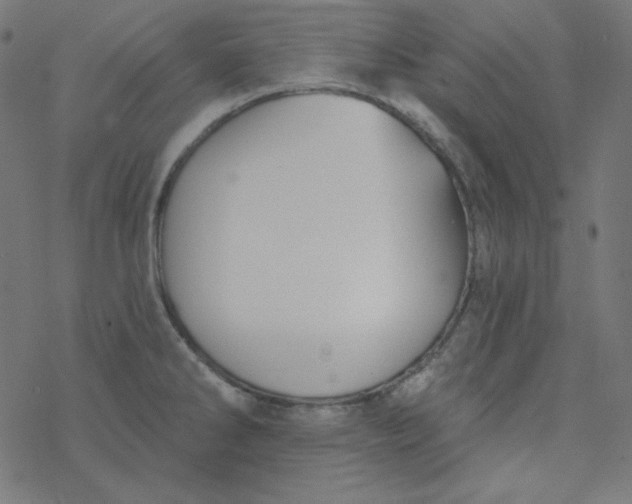 X0000077371286200611031902