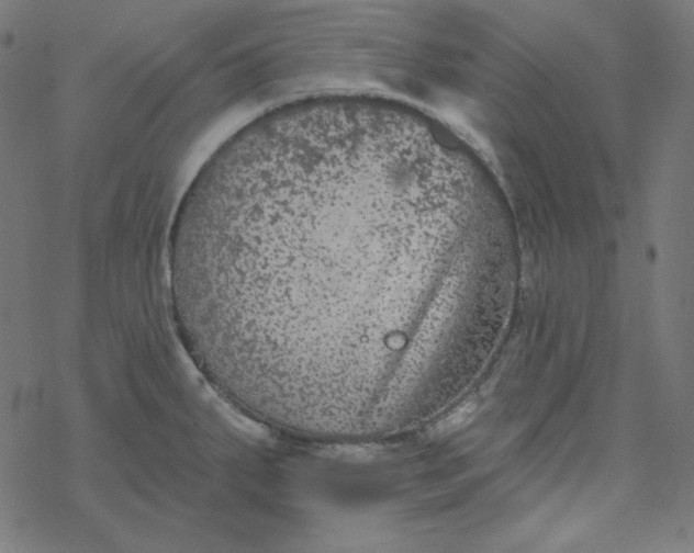 X0000077371287200611031902