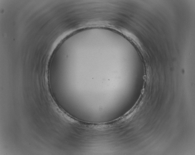 X0000077371288200611031902