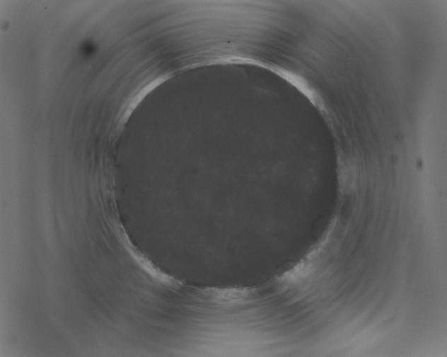 X0000077371289200611031902