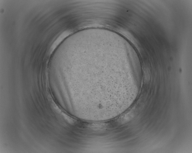 X0000077371290200611031902