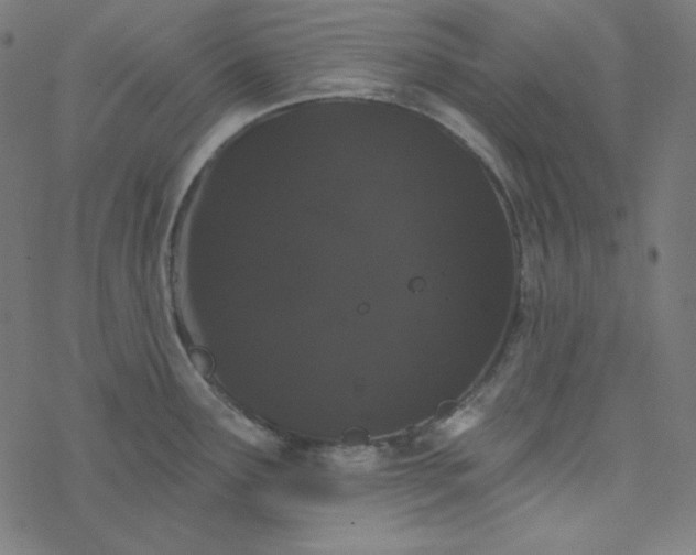 X0000077371291200611031902