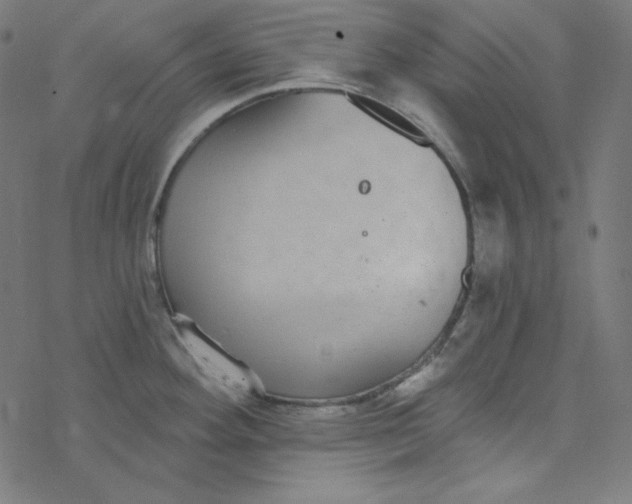 X0000077371292200611031902