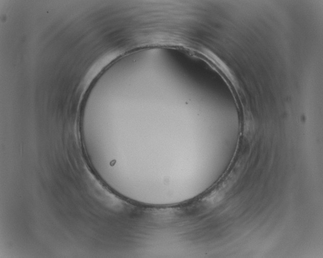 X0000077371293200611031902