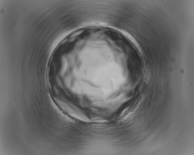 X0000077371295200611031902