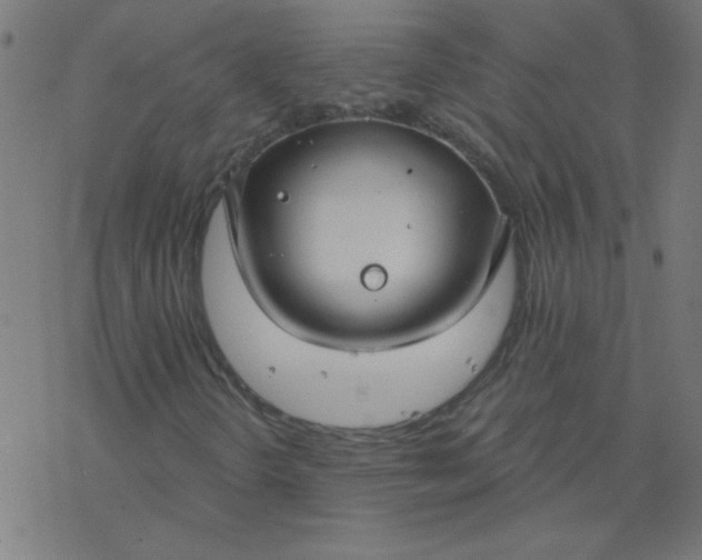 X0000077371298200611031901