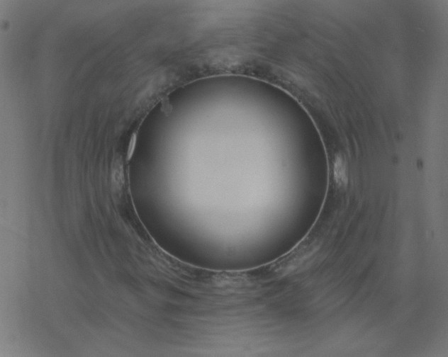 X0000077371299200611031901