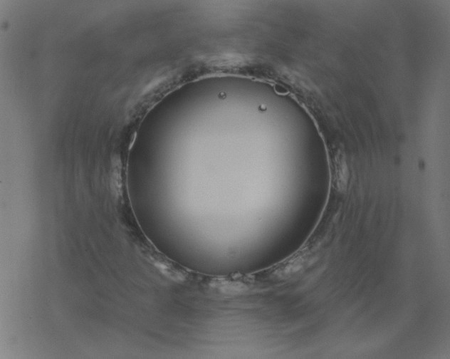 X0000077371301200611031901