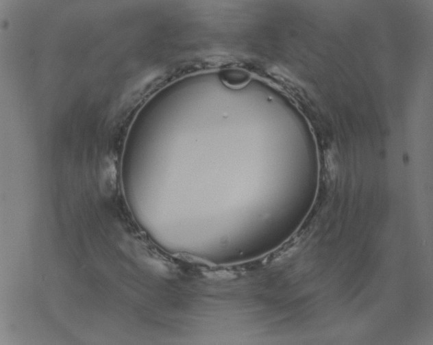 X0000077371302200611031901