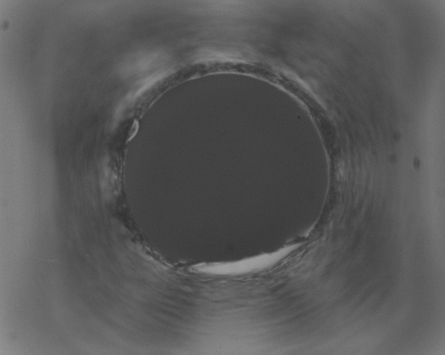 X0000077371303200611031901