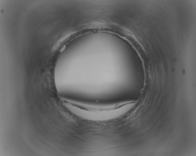 X0000077371304200611031901