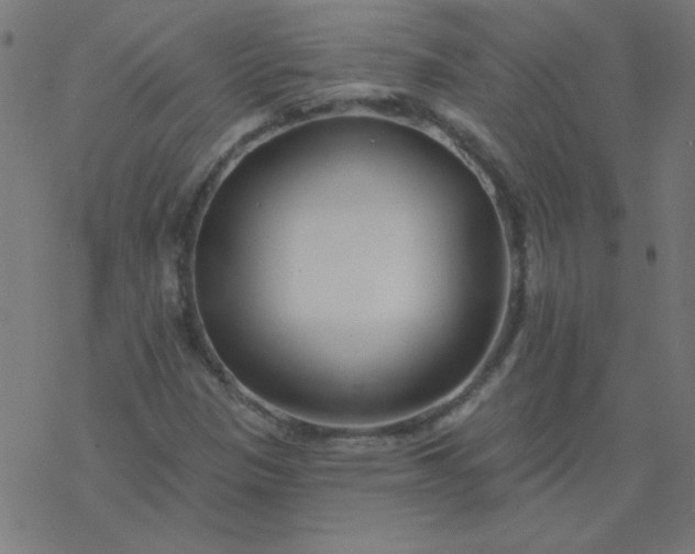 X0000077371305200611031901