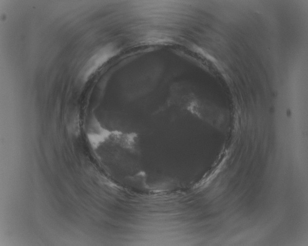 X0000077371306200611031901