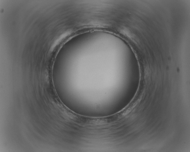 X0000077371307200611031901