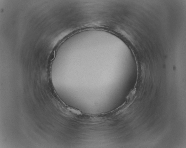 X0000077371308200611031901