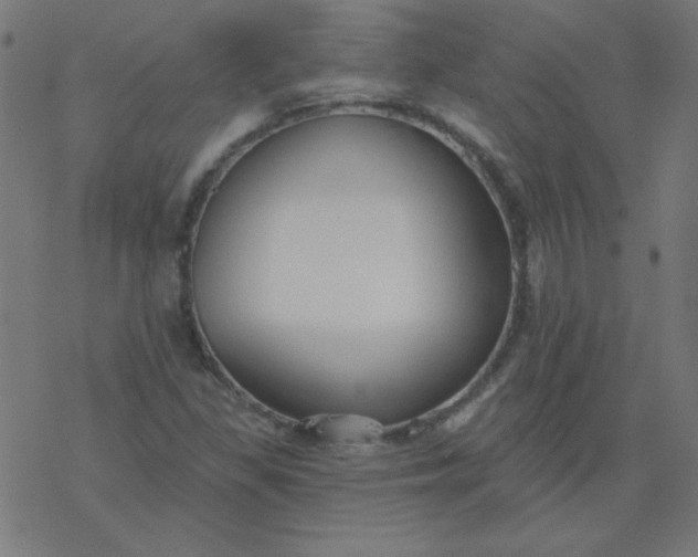 X0000077371309200611031901