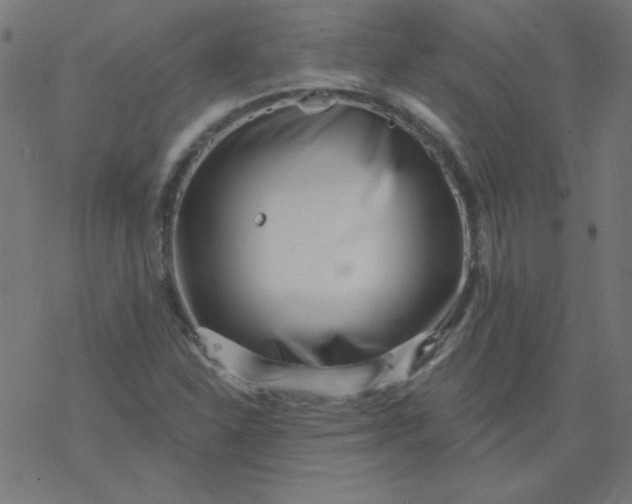 X0000077371310200611031901