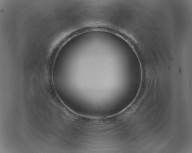 X0000077371311200611031901