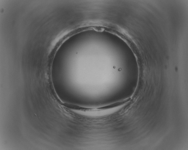 X0000077371312200611031901