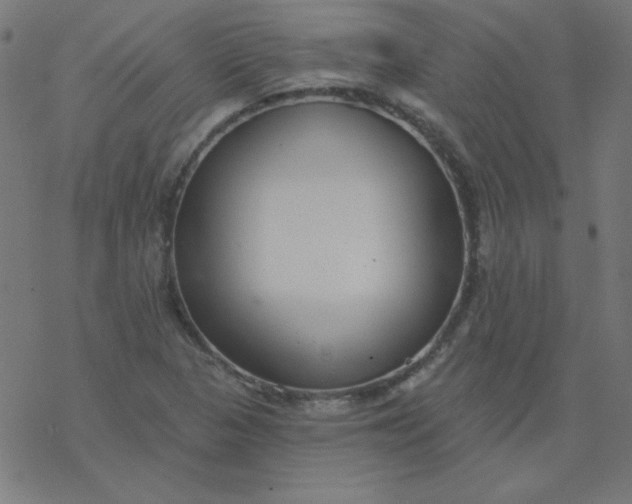 X0000077371313200611031901