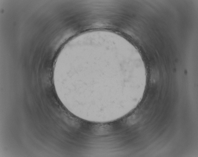 X0000077371314200611031901